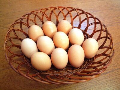 33-K 【12か月定期便】平飼い会津地鶏の卵 3kg（50～60個） ※沖縄・離島への配送不可