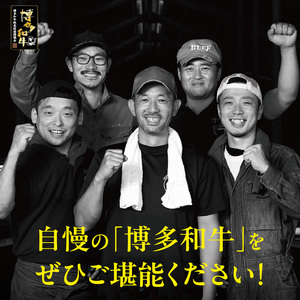 博多和牛 ロースサイコロステーキ用 400g_KJ0206
