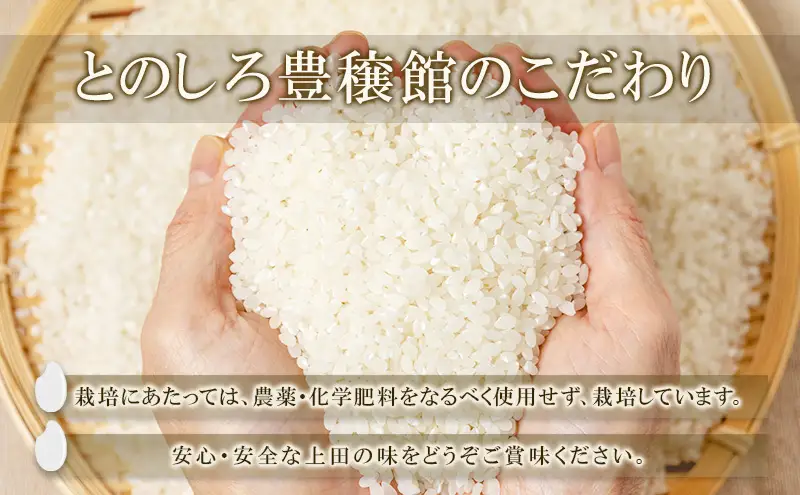 米 コシヒカリ 10kg お米 白米 精米 単一原料米 令和7年産 長野県産 長野 長野県 上田市