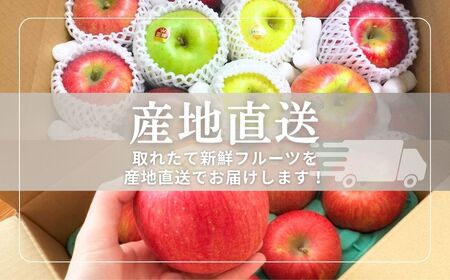 【2026年先行予約】りんご 園主におまかせ 詰合せ 計約5kg（10~18玉）りんごの宝石箱 | 長野県 千曲市