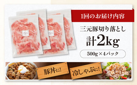 【全6回定期便】平田牧場 切り落とし 2kg (500g×4P)  豚肉 切り落とし 小分け [AJAP036]