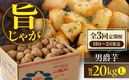 【全3回定期便】【10月～12月発送】じゃがいも 男爵芋 20kg [AJAK022]