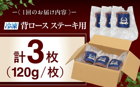 【全3回定期便】鹿肉 背ロース 3枚  ジビエ 赤身 冷凍配送 北海道 [AJAO028]