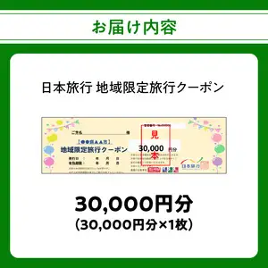 大分県大分市 日本旅行 地域限定旅行クーポン 【30,000円分】 O02049