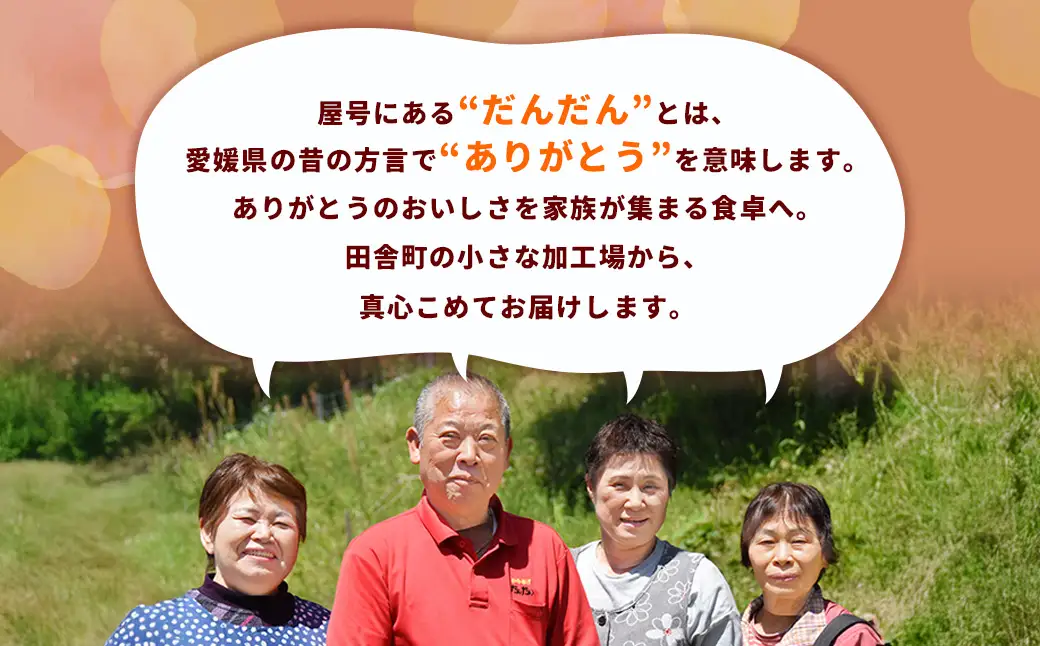 ジビエ肉味噌 100g×3瓶【えひめの町（超）推し！（内子町）】（308-1）愛媛県産 ジビエ肉 鹿 鹿肉 味噌 みそ ご飯のお供 ごはん 常温 愛媛県