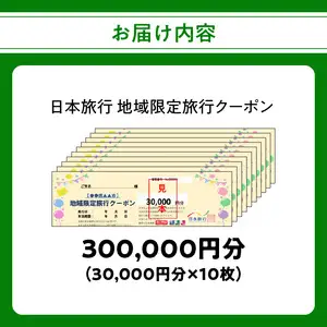 大分県大分市 日本旅行 地域限定旅行クーポン【300,000円分】 O02053