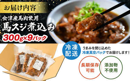 【会津産馬肉使用】馬スジ煮込み 2.7kg （300g×9パック） | 馬スジ 馬すじ 馬肉 煮込み 小分け 小分 パック 真空パック 総菜 おかず おつまみ 冷凍 福島 猪苗代町