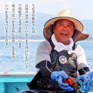 ほや 冷凍ほや300g×5袋 【高評価】 珍味 かき小屋広田湾