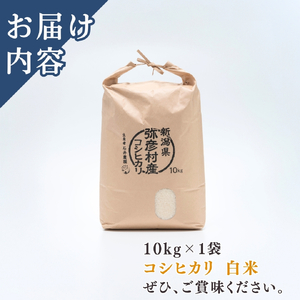 コシヒカリ 精米 10kg 弥彦村 石井農園 白米 | コシヒカリ 新潟県 令和7年産