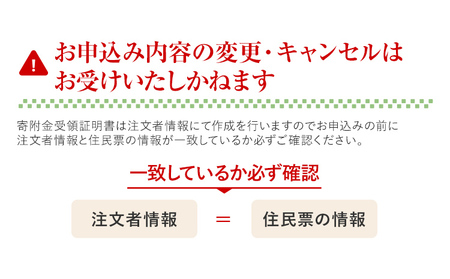 おせち Sakurazaka 三段重 2～3人前 迎春おせち料理