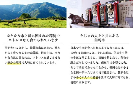 神戸ビーフ　ステーキ食べ比べセット（サーロイン・モモ）