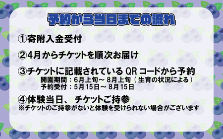 ブルーベリー狩り チケット 4名様