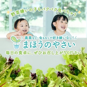 SA2136　「まほうのやさい すこやかセット」　ベビーリーフ　計900g(100g×9袋)