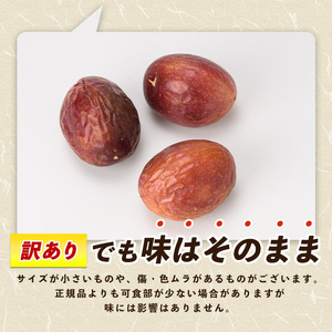 【2026年 発送】【訳あり】パッションフルーツ 18～20玉(マンゴーの森/IB040-009) ワケアリ わけあり 規格外 規格外品 農家直送 産地直送 新鮮 パッション フルーツ 果物 くだもの 南国 夏 旬 トロピカル トロピカルフルーツ 指宿 いぶすき 鹿児島