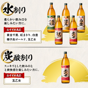 i977 ＜定期便・計3回(連続)＞神酒造厳選！6種飲み比べセット「白豊・紅まさり・種子島ゴールド・黄金千貫・玉乙女・薩摩金時」(各900ml×6本×3回) お酒 焼酎 芋焼酎 6本セット 飲みくらべ お湯割り ロック 水割り 自信作 手づくり こだわり【神酒造】