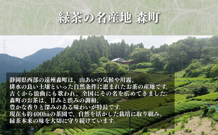 和紅茶ティーバッグ2g×20ヶ入×6袋 飲料類 お茶 セット 