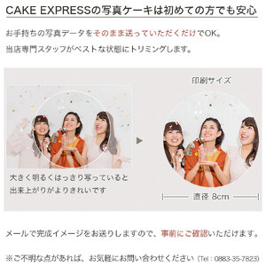 フルーツケーキ 4号 写真ケーキ 冷凍 ケーキ