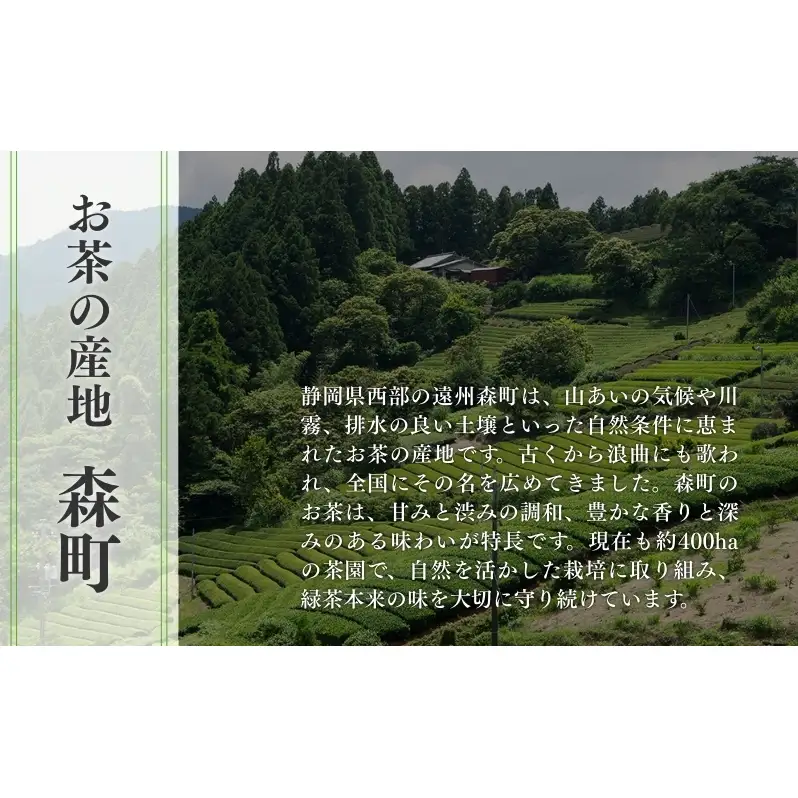お茶 いしだ茶屋 あさつゆ 100g 5袋 煎茶 茶葉 贈答