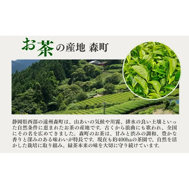 お茶 いしだ茶屋 深蒸し茶 ふくよ香 100g 5袋 煎茶