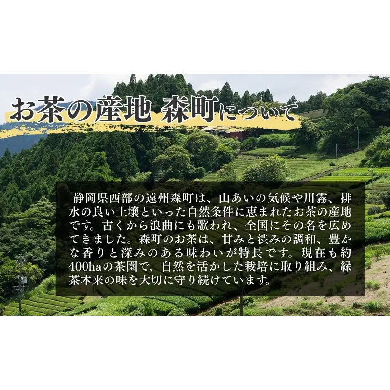 お茶 いしだ茶屋 上煎茶 深山 100g 5袋 ギフト