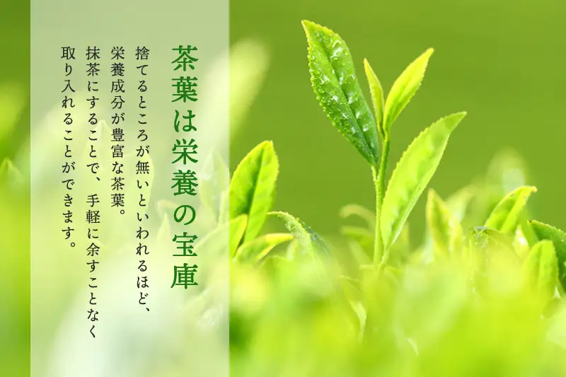 お抹茶いっぷくセット｜30ｇ缶入（京都 抹茶
