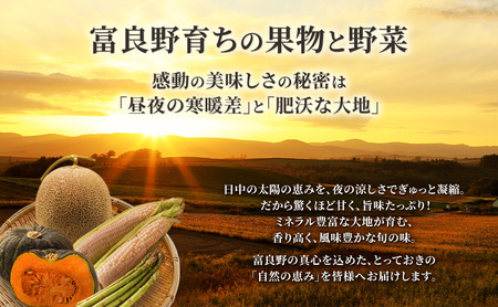2026年夏発送【先行受付】 ふらのメロン 赤肉 秀大4玉 計8kg以上 富良野メロン 赤肉 めろん 北海道 甘い 大きい 果物 フルーツ