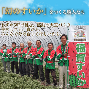 【先行予約】 福賀 すいか 秀大 約9〜10kg 圧巻の大玉＆シャリシャリ食感 高糖度 山口県 阿武町産 1個（希少1株1玉栽培） 産地直送 【2026年7月上旬～順次発送予定】