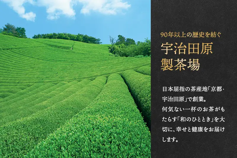熱湯かぶせ茶1ｋｇ木箱詰(250g×4本)〈お茶 茶 煎茶 緑茶 茶葉 深むし 深蒸し茶 熱湯 かぶせ茶 宇治 飲料 加工食品 木箱〉 