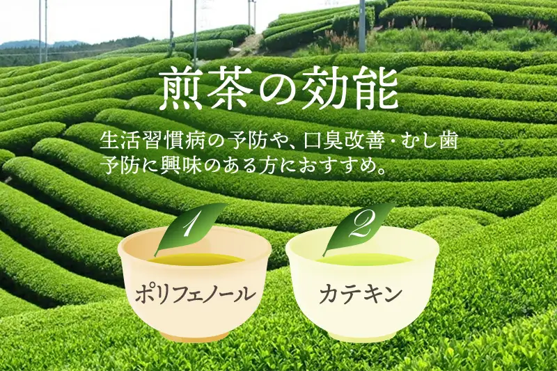 有機宇治茶味わいセット（有機 オーガニック 玉露 煎茶