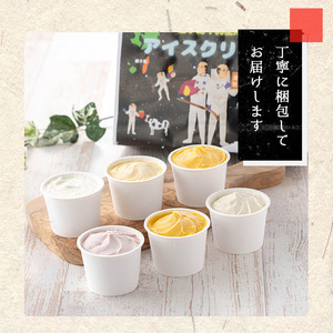 n254 種子島 アイスクリーム 6個 安納芋 ミルク 苺ミルク たんかん マンゴー パッション 黒糖 マスカルポーネ 【菓子処渡辺】