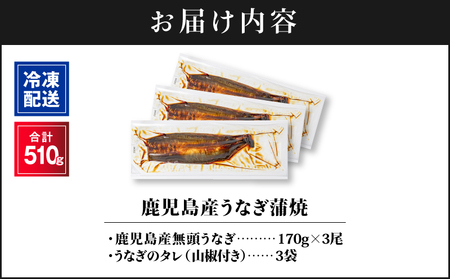 【 土用の丑の日特集 】 2443 鹿児島産うなぎ 合計510g（170g×3尾） KN021-014-03 鰻 魚 惣菜 総菜