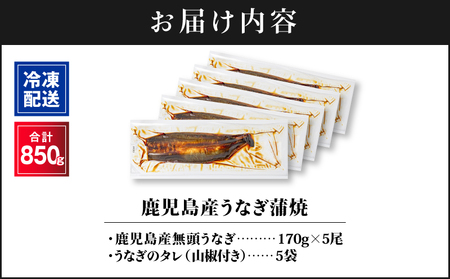 【 土用の丑の日特集 】 2445 鹿児島産うなぎ 合計850g（170g×5尾） KN021-014-05 鰻 魚 惣菜 総菜