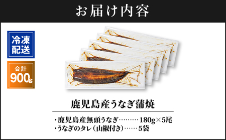 【 土用の丑の日特集 】 2448 鹿児島産うなぎ 合計900g（180g×5尾） KN021-015-05 鰻 魚 惣菜 総菜