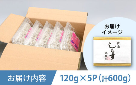 釜揚げ 湘南しらす 600g 小分け 120g×5パックしらす [AKEZ001] 