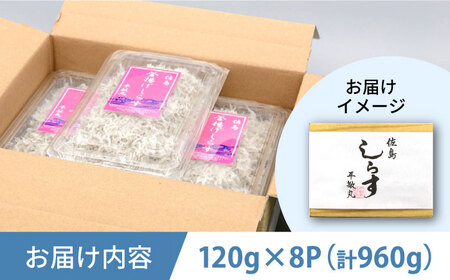 釜揚げ 湘南しらす 960g  [AKEZ002]しらす