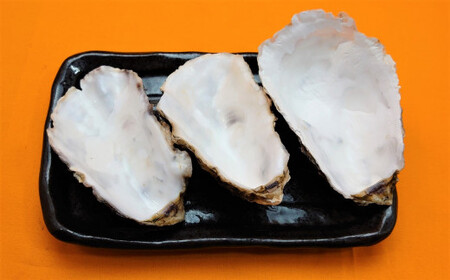 【牡蠣殻あり】 わいわいの牡蠣のバター焼き 6個～8個 【 冷凍 便利 レンチン 湯銭 簡単 調理済み あたため レンジで 簡単お料理 人気 バター焼き 海鮮 牡蠣 かき カキ 岩手 陸前高田市 】RT1628