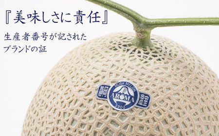 【6ヶ月定期便】静岡県産高級 アローマメロン 白等級 中玉1玉 約1.3kg以上×中玉1玉×6回 計約7.8kg以上 化粧箱入 果物 フルーツ メロン めろん 青肉 高級ブランドメロン ブランドメロン 高級メロン 贈答