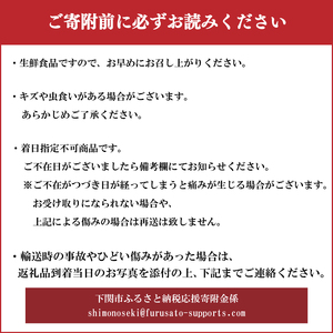 【2026年6月上旬以降順次発送】じゃがいも 5kg デストロイヤー 野菜 農家直送 季節限定 芋 おいも下関 IN101