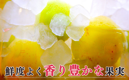 【堀内果実園】【訳あり】特別栽培・大切に育てた完熟南高梅（5kg） | 果実 旬 奈良県 五條市