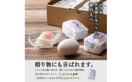 山中名物 温泉玉子 15個入り 山中温泉 温玉 全半熟 半熟 卵 たまご 小分け 朝食  グルメ 食品 復興 震災 コロナ 能登半島地震復興支援 北陸新幹線 F6P-2808