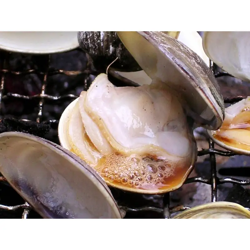 【はまぐり】畜養活蛤 2kg ハマグリ