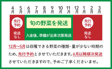 野菜セット 10種類前後【先行予約】 野菜