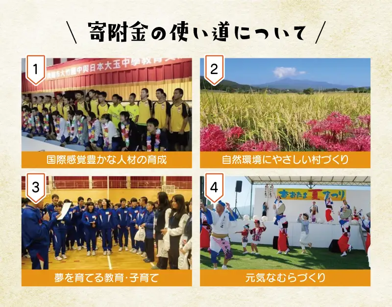【令和8年分 先行予約】 りんご 約5kg 福島県 大玉村産 林檎 リンゴ サンふじ フルーツ