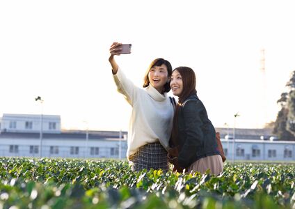 茶園見学ツアー3名様チケット _BM07