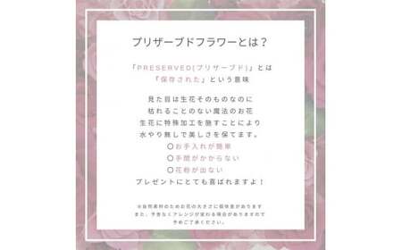 プリザーブドフラワー フレームアレンジ クレセントムーン パープル 枯れない花 花 フラワー アレンジメント 飾り インテリア 結婚祝い 誕生日    お祝い   復興 震災 コロナ 能登半島地震復興支援 北陸新幹線 F6P-1356
