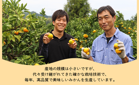 フルーツ 山北みかん 大玉サイズ(L,2Lサイズ) 10kg 約60～80個入り フルーツ yk-0065