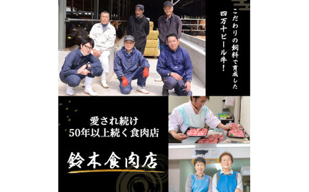 【数量限定】国産牛肉と豚肉ミンチ 合挽肉 2kg（500ｇ×4パック） 挽肉 ひき肉 ミンチ ／Asz-Z43 