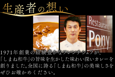 B-1202 Restaurant Pony 和田シェフが創る「しまね和牛」牛すじ入りデリシャスカレー8袋