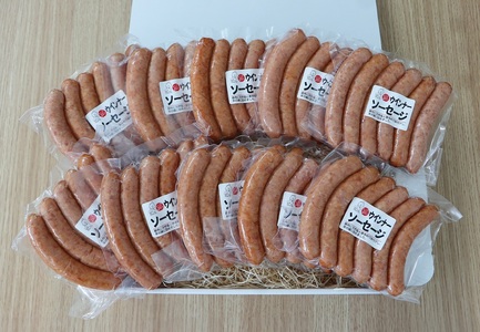 (12037)風の家 手作り 粗挽き ウインナー ポークウインナー 180g×10パック 6本入り 長門市 日置 