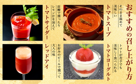 トマピカルネクター 700ml 2本 《30日以内に出荷予定(土日祝除く)》トマト ジュース